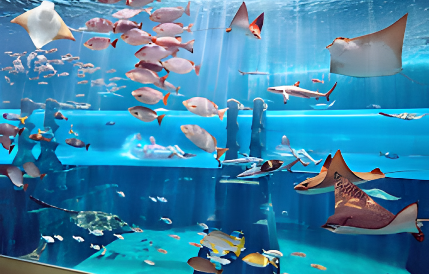 Atlantis, The Palm
