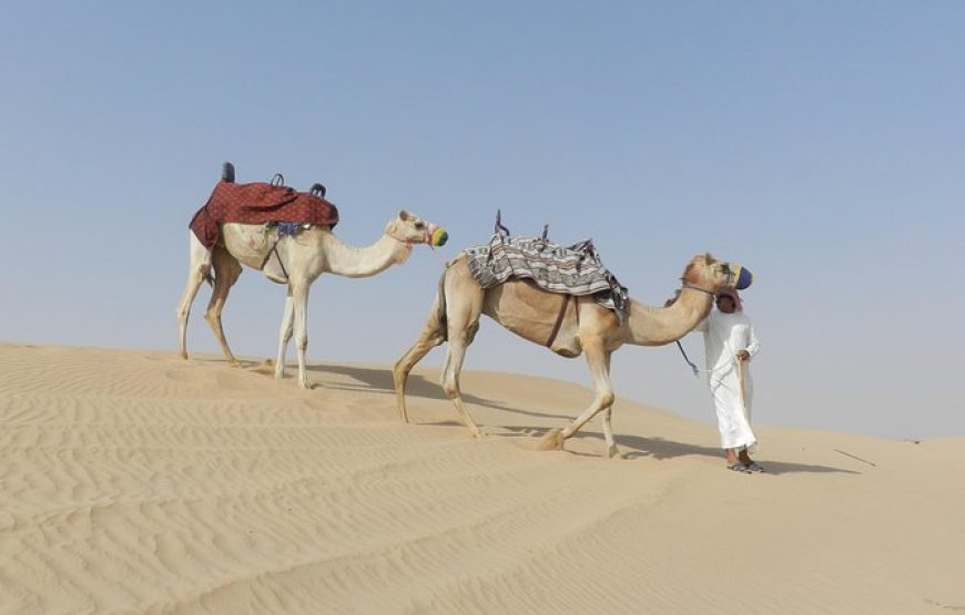 Dubai Desert Safari Dune Bashing, 60min ATV Quad, Camel Ride, BBQ